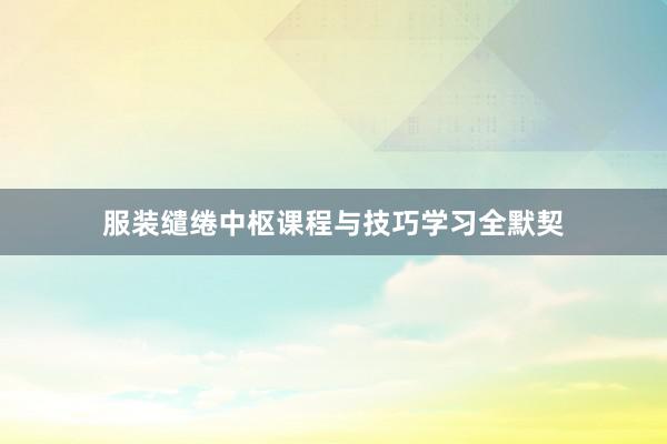 服装缱绻中枢课程与技巧学习全默契